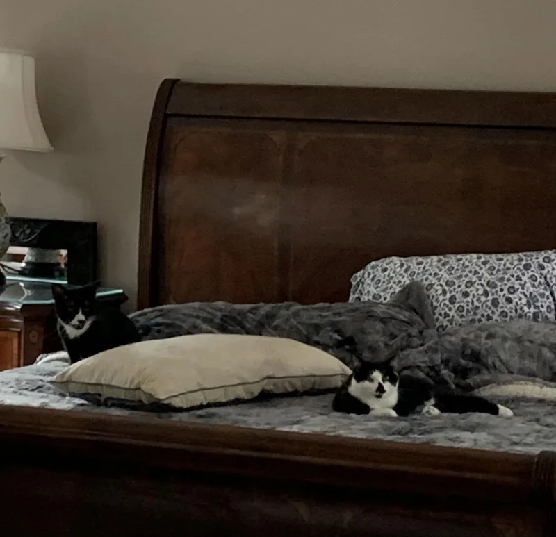 Courtesy List: Rosie thumbnail 3