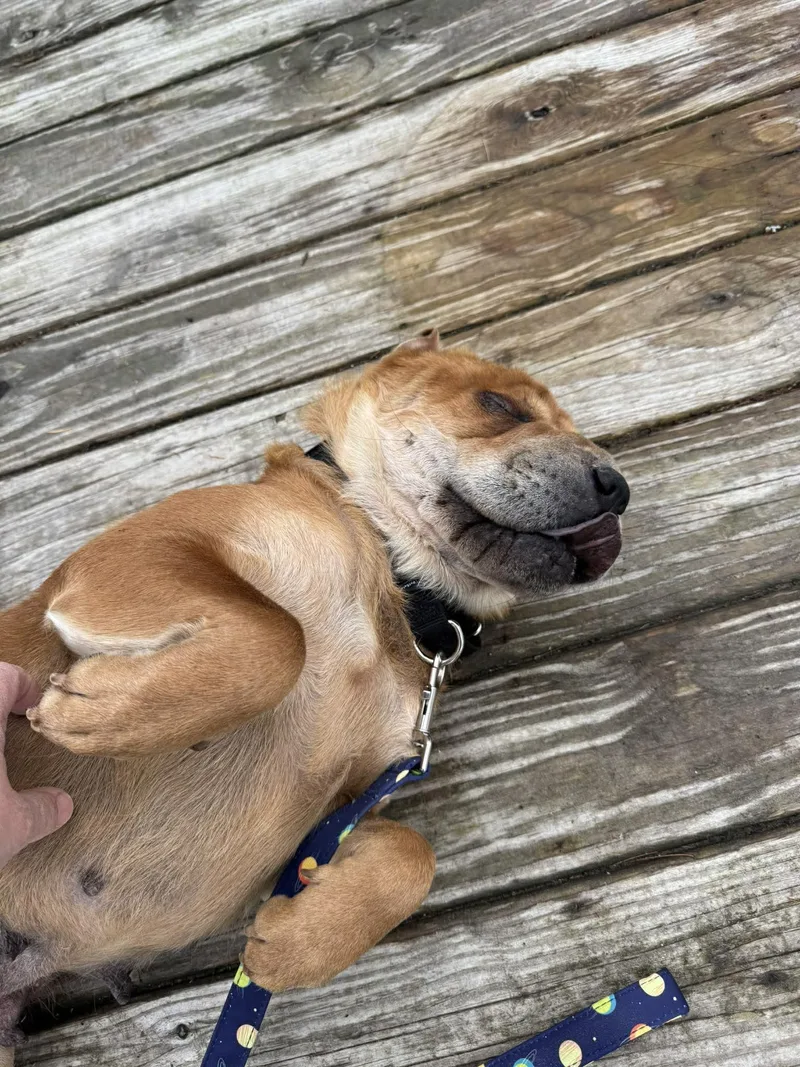 Charlotte thumbnail 5