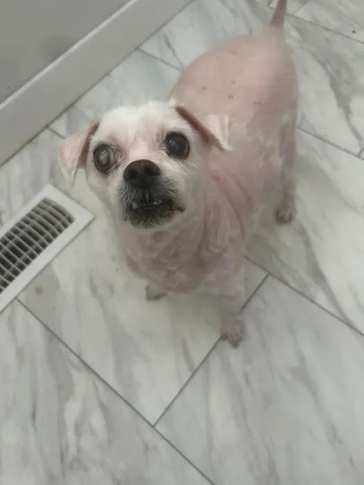 Sammy Jo thumbnail 2