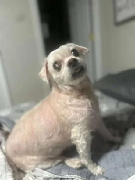 Sammy Jo thumbnail 3