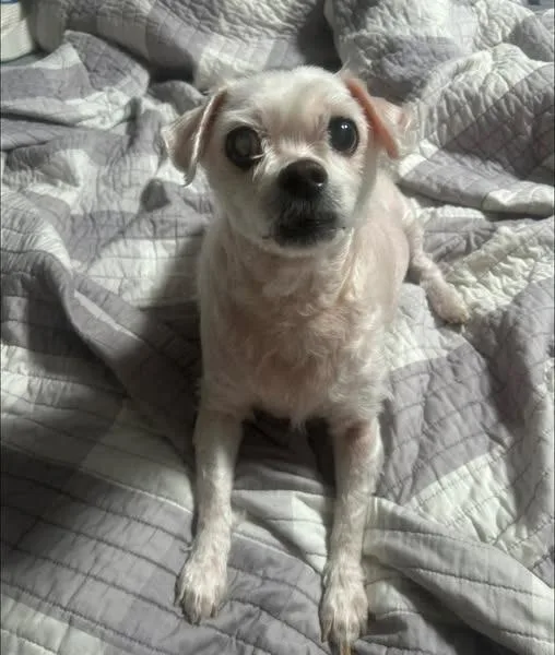 Sammy Jo thumbnail 4