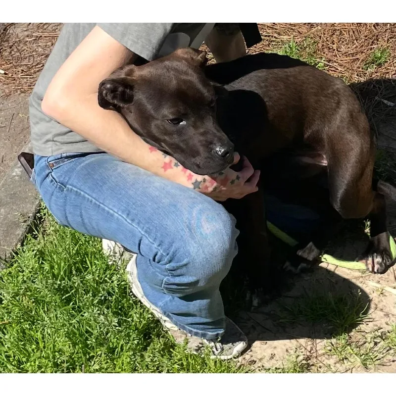 Nita Strauss thumbnail 2