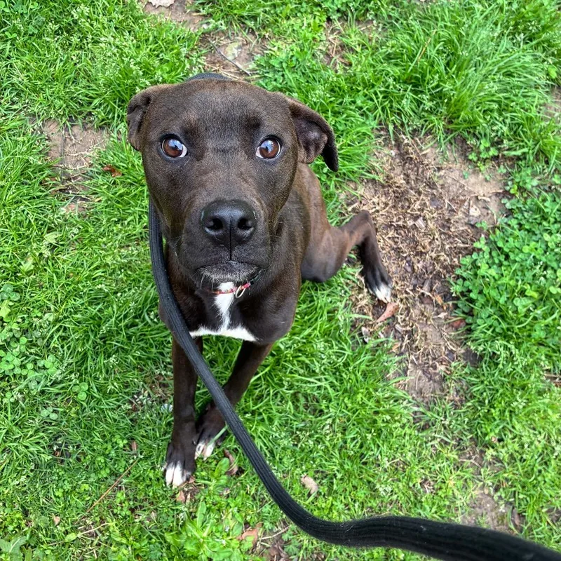 Nita Strauss thumbnail 3