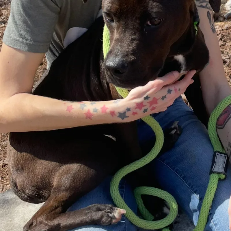 Nita Strauss thumbnail 4