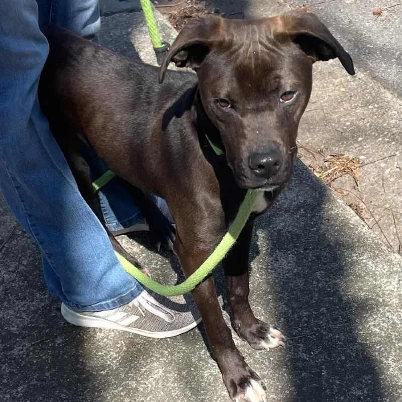 Nita Strauss thumbnail 5