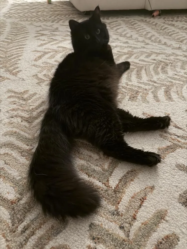 Kat Harington thumbnail 5