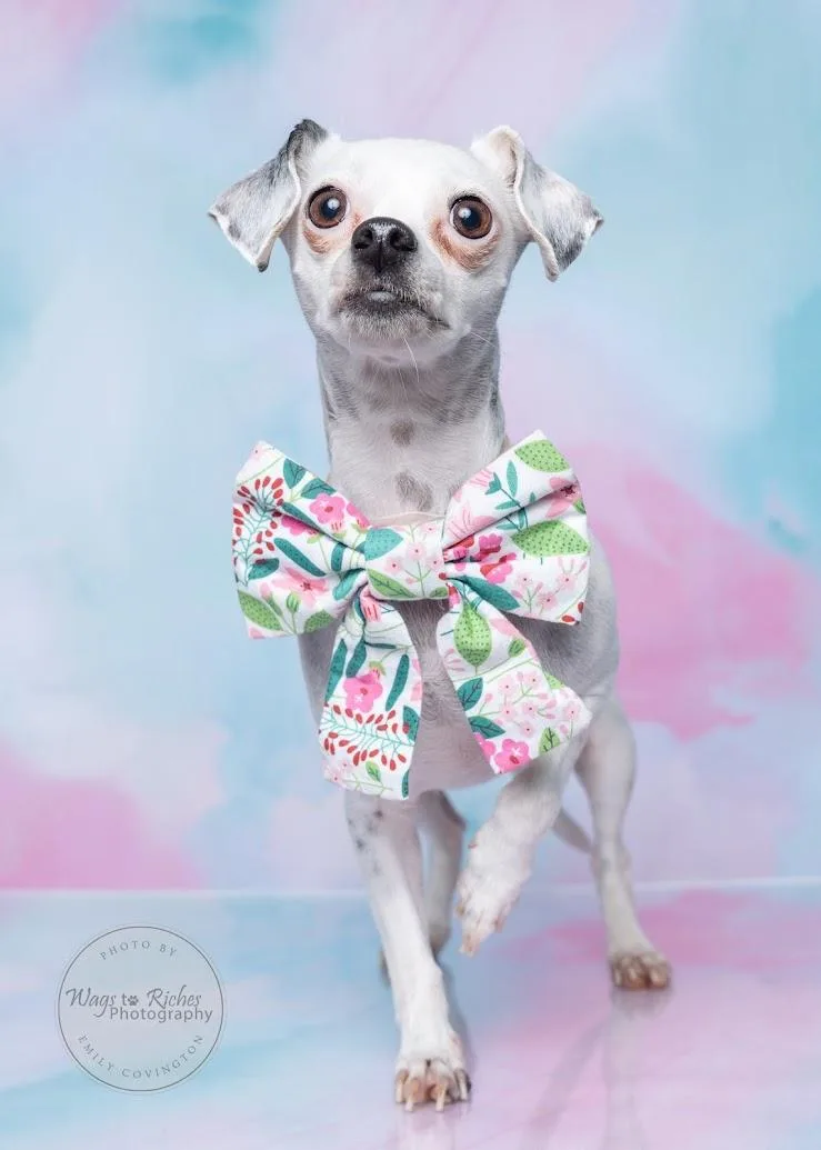 Khloe   Pounds thumbnail 2