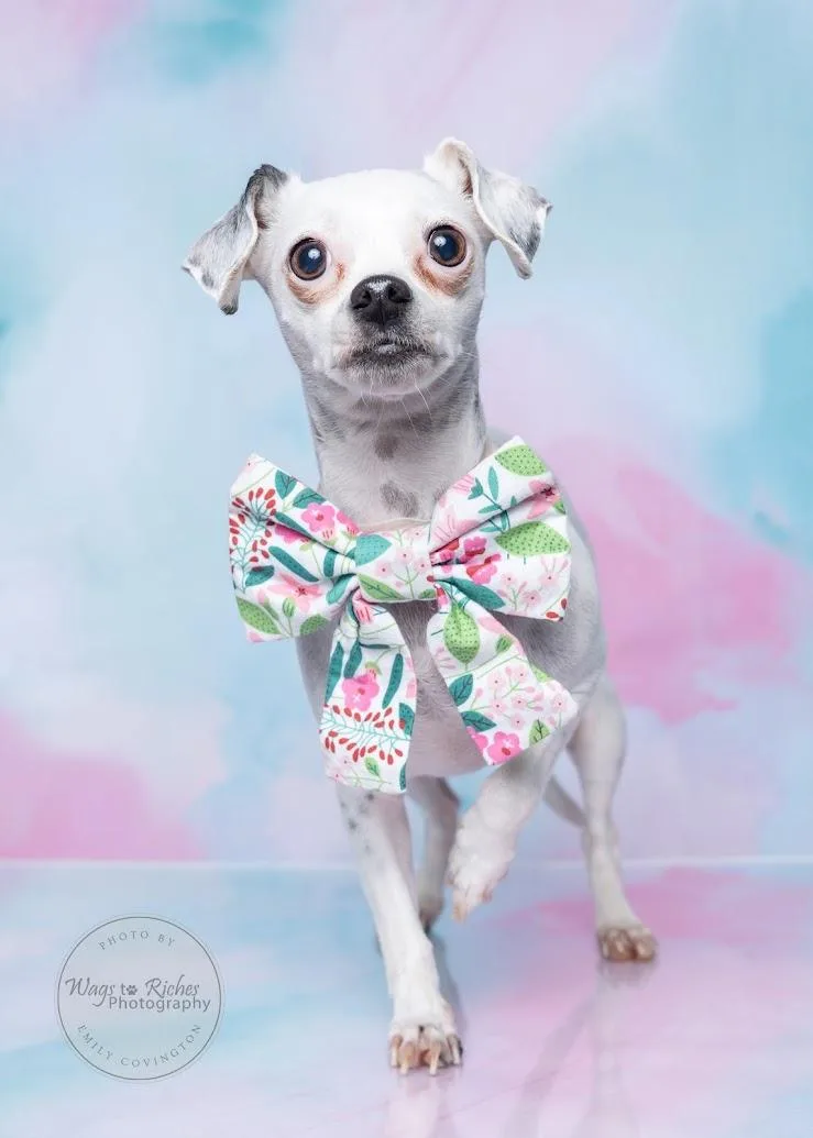 Khloe   Pounds thumbnail 4