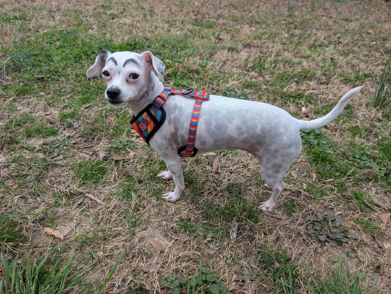 Khloe   Pounds thumbnail 5