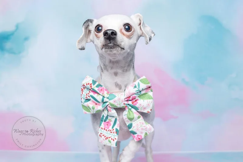 Khloe   Pounds thumbnail 6