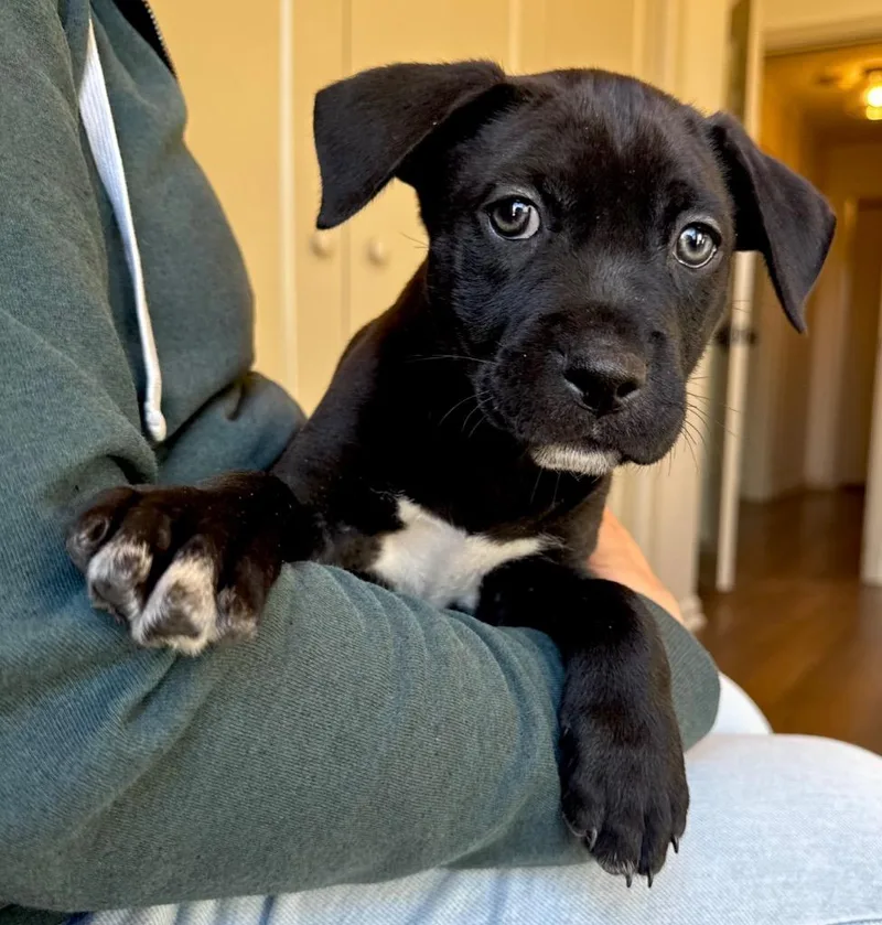 Toots  Local thumbnail 2