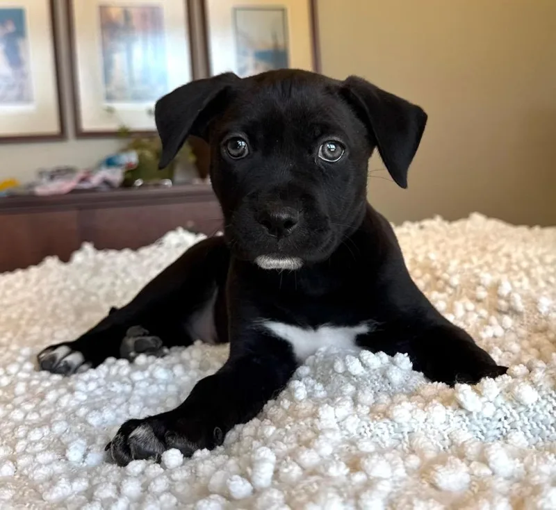 Toots  Local thumbnail 3