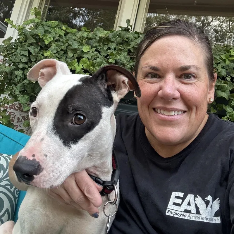 Traveler thumbnail 5