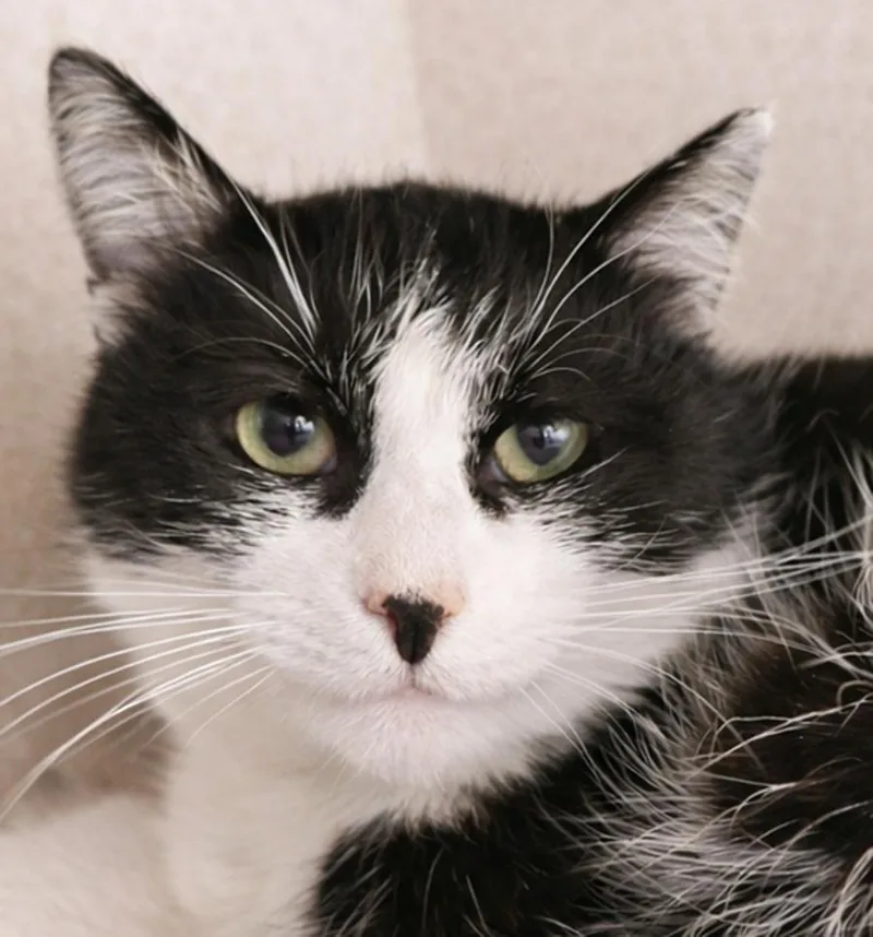 Slush At Montrose Petsmart!!