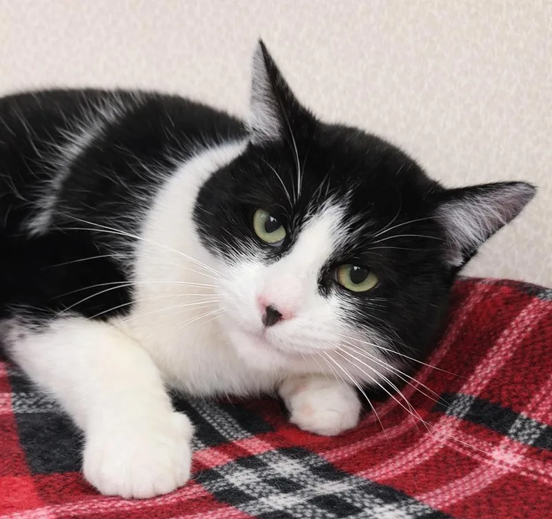 Slush At Montrose Petsmart!! thumbnail 2