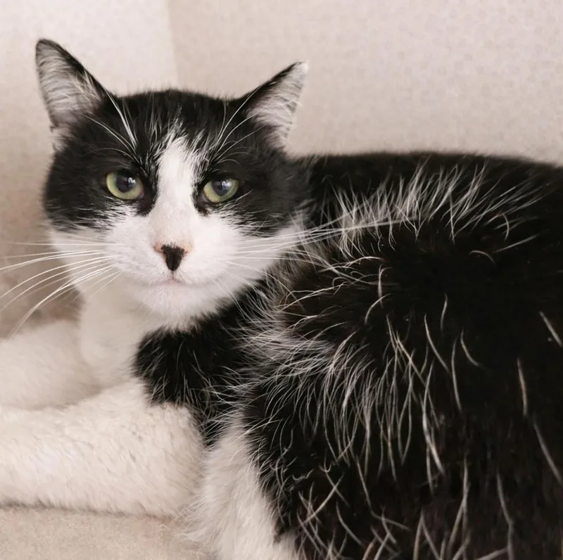 Slush At Montrose Petsmart!! thumbnail 3