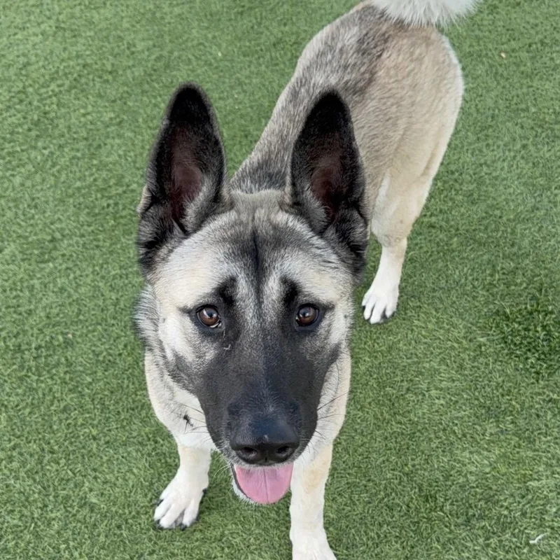 Barbie A thumbnail 2