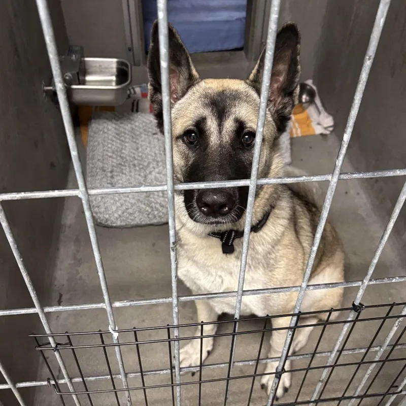 Barbie A thumbnail 3