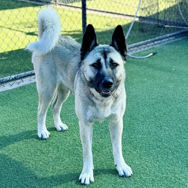 Barbie A thumbnail 4