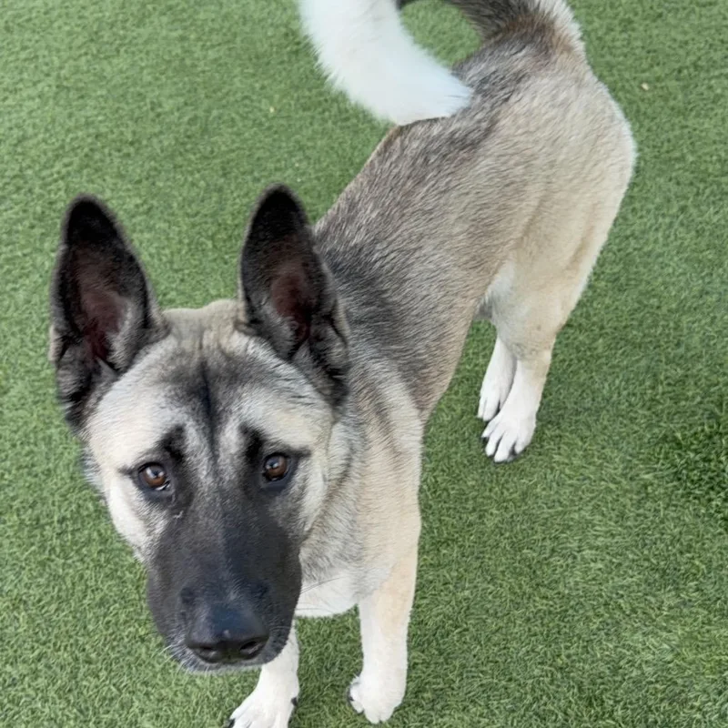 Barbie A thumbnail 5