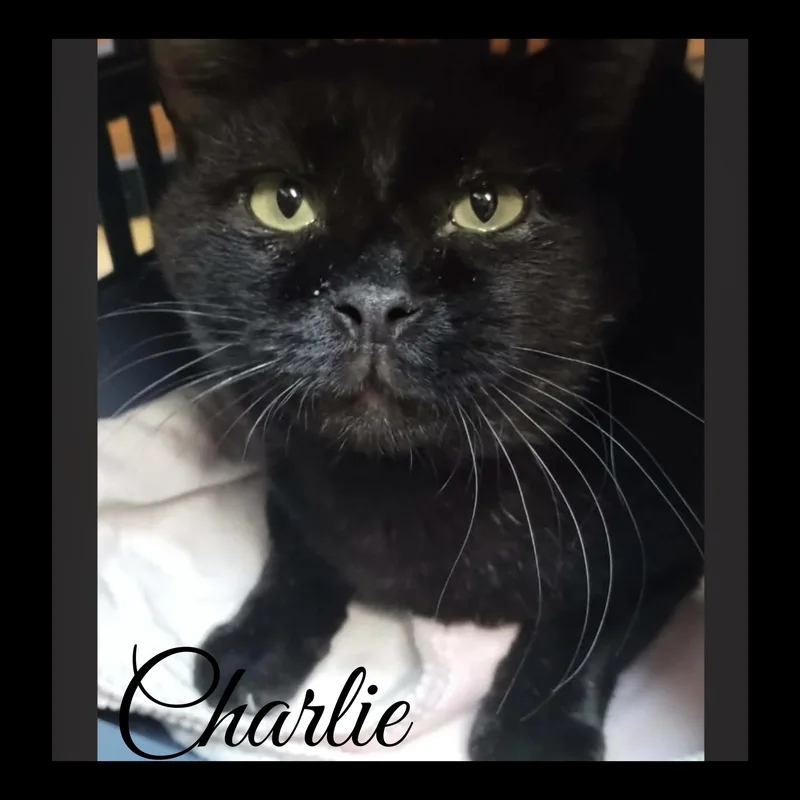Charlie