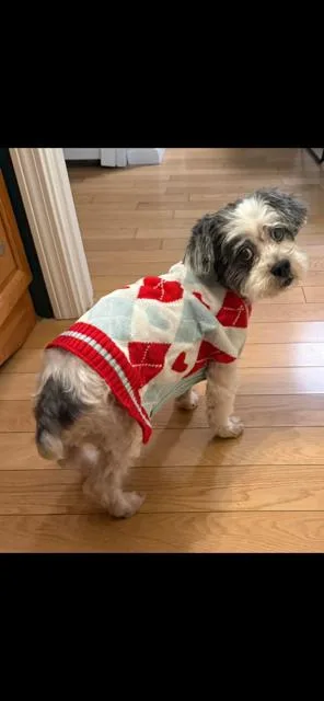 Spunky Nuppy thumbnail 3