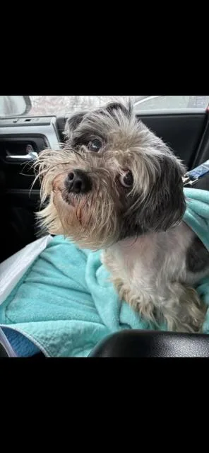 Spunky Nuppy thumbnail 5