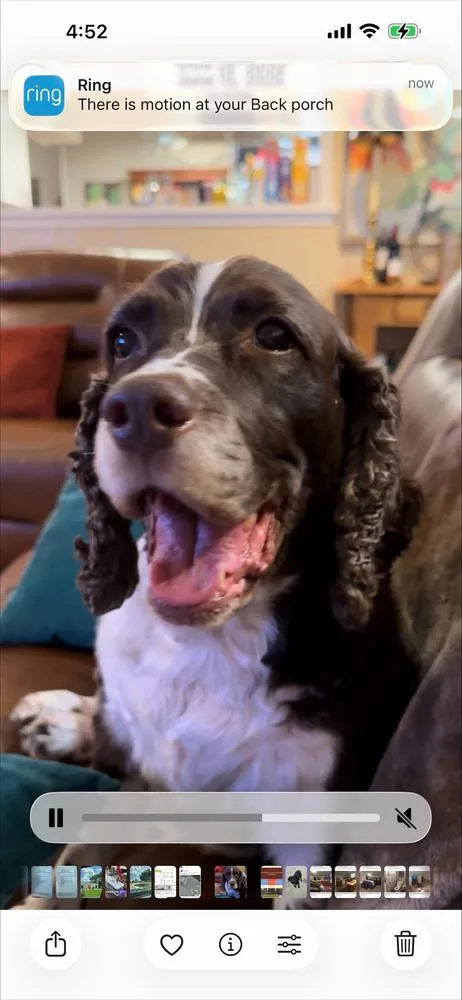 Hallie Berrie thumbnail 3