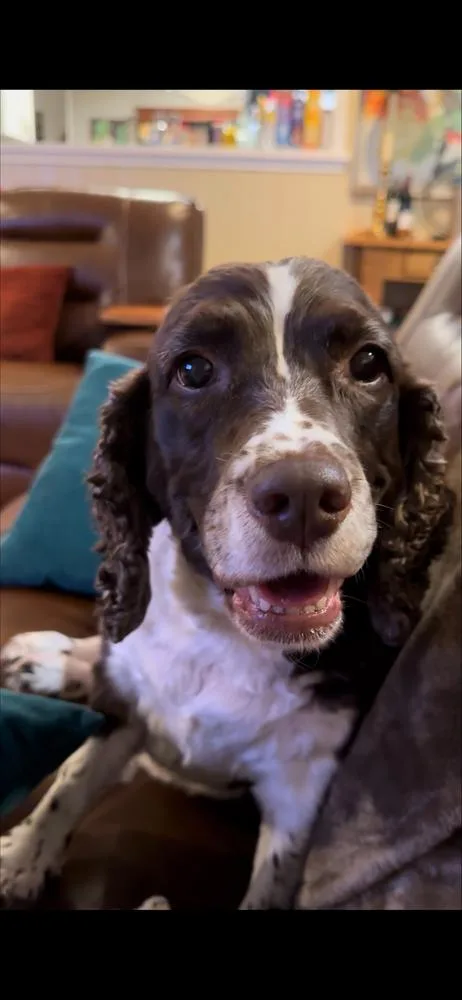 Hallie Berrie thumbnail 4