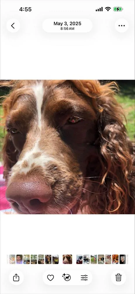 Hallie Berrie thumbnail 5