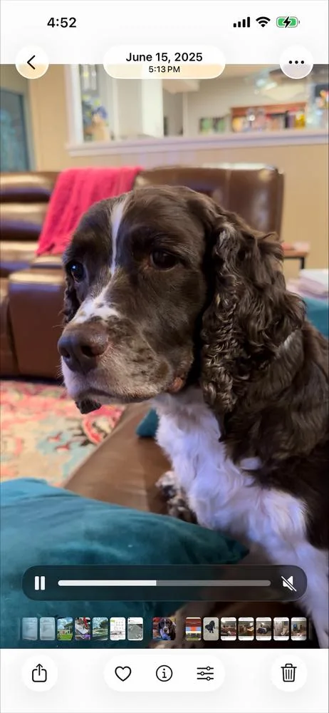 Hallie Berrie thumbnail 6