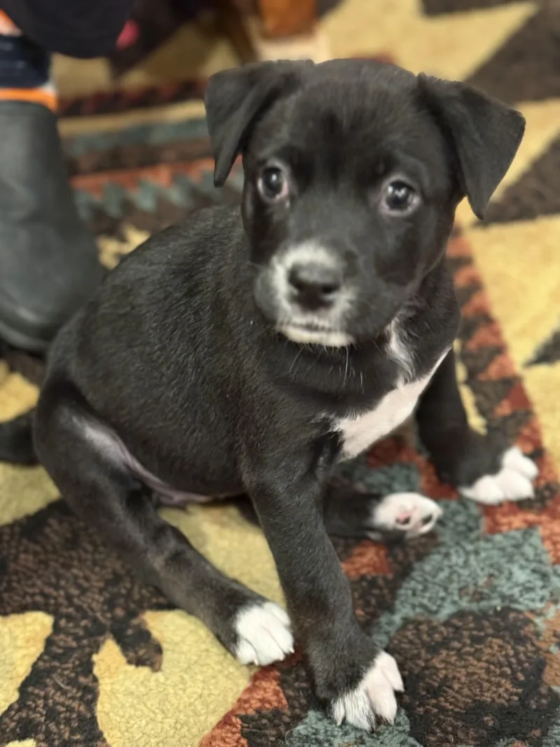 Daisy Mae thumbnail 5