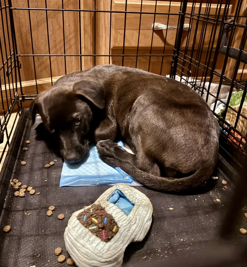 Guinness thumbnail 2