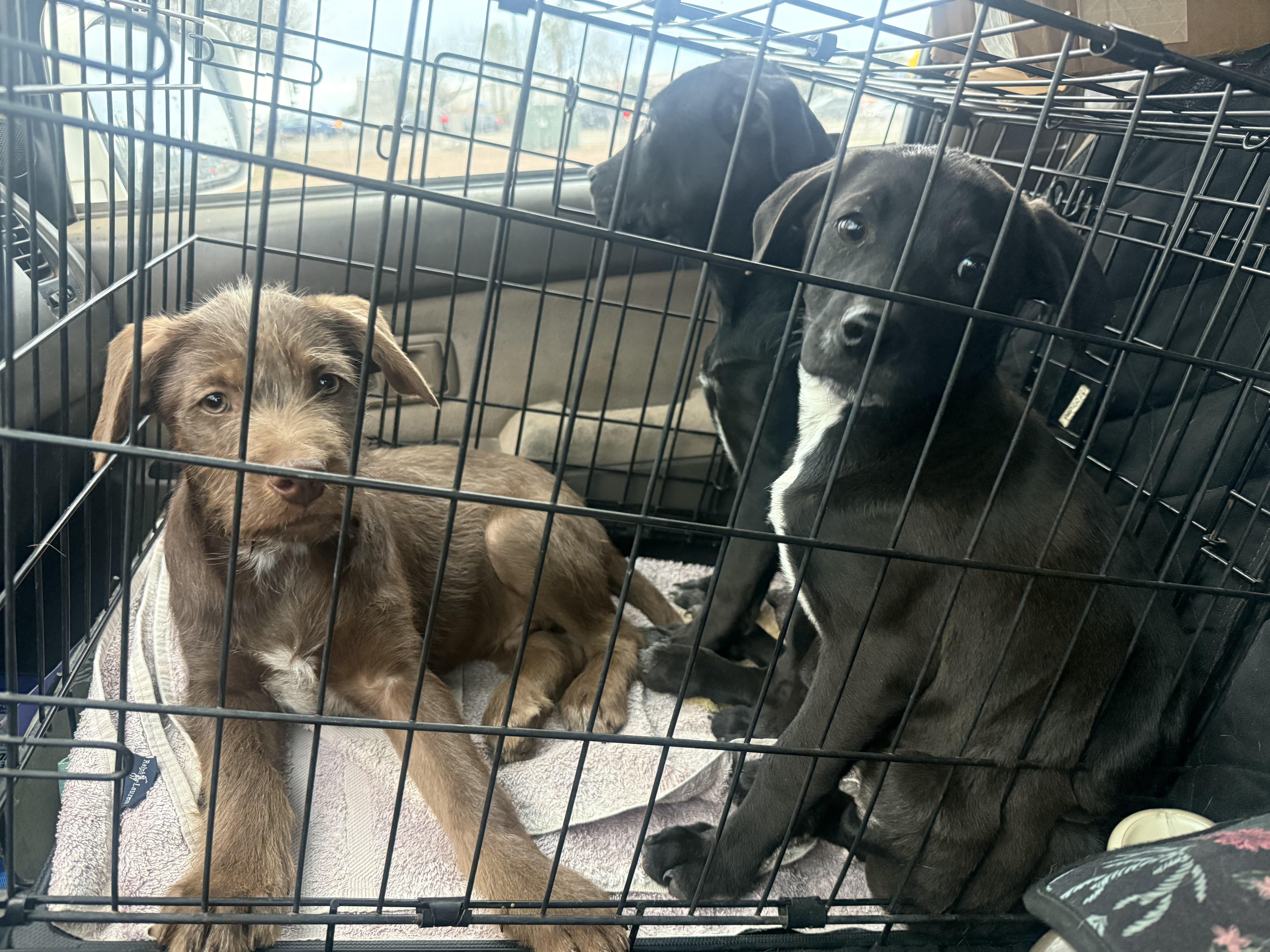 Guinness thumbnail 3