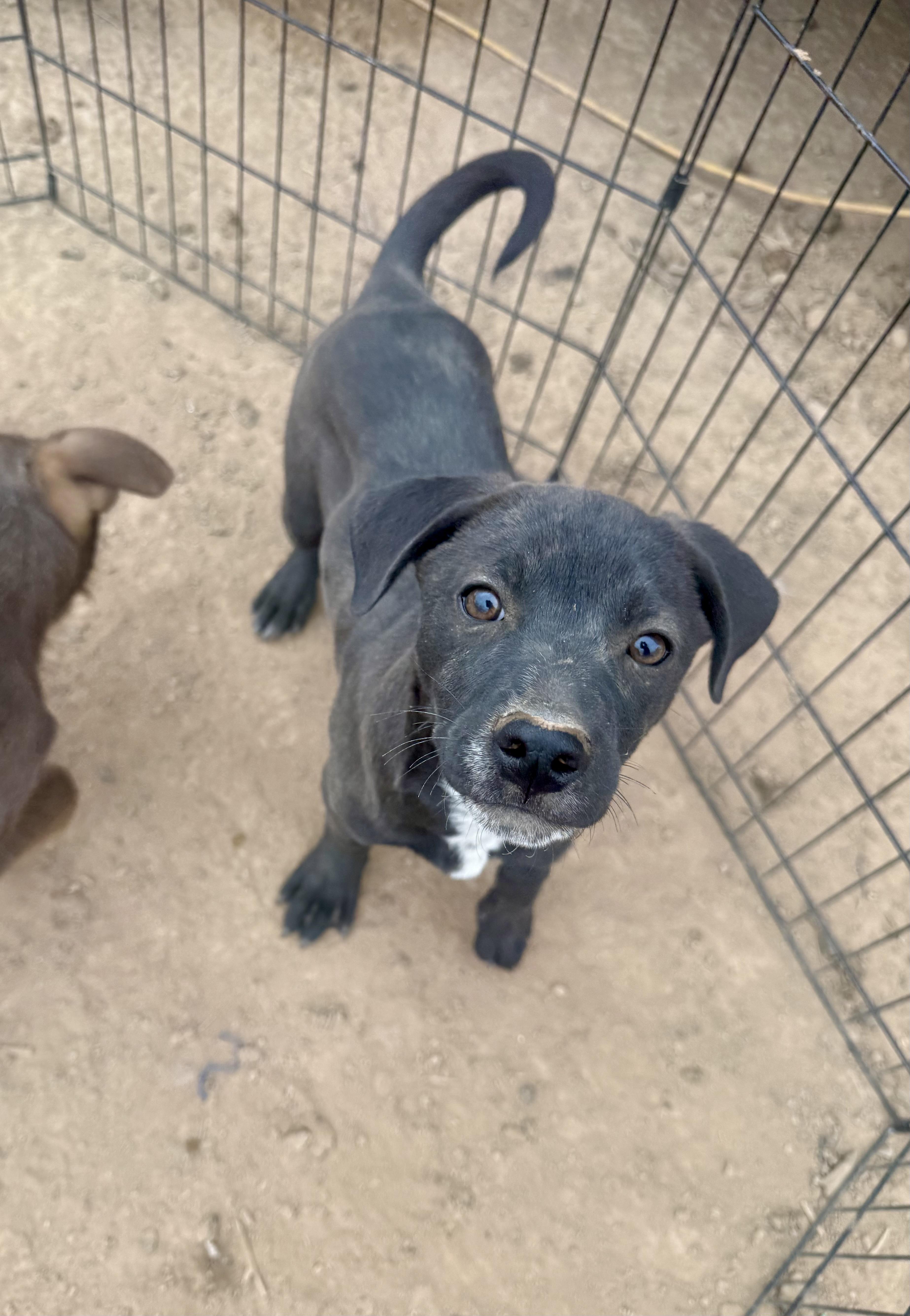 Guinness thumbnail 6