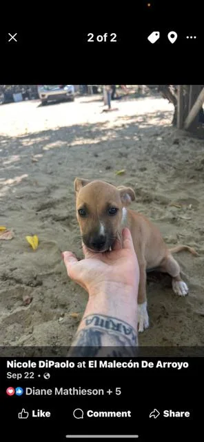 Lil Twinkle thumbnail 2