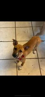 Lil Twinkle thumbnail 5