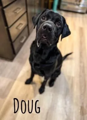 Doug