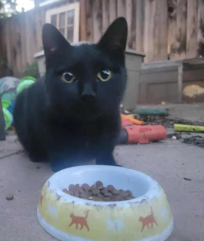 Princess thumbnail 2