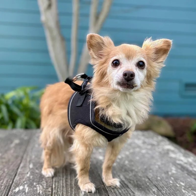 Sebastian thumbnail 2