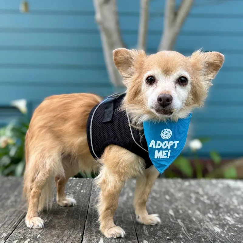 Sebastian thumbnail 3