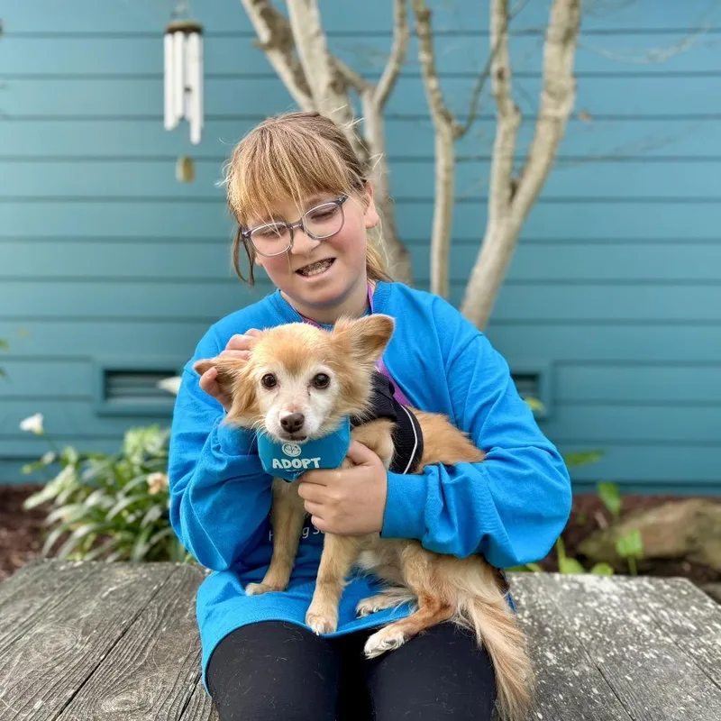 Sebastian thumbnail 4