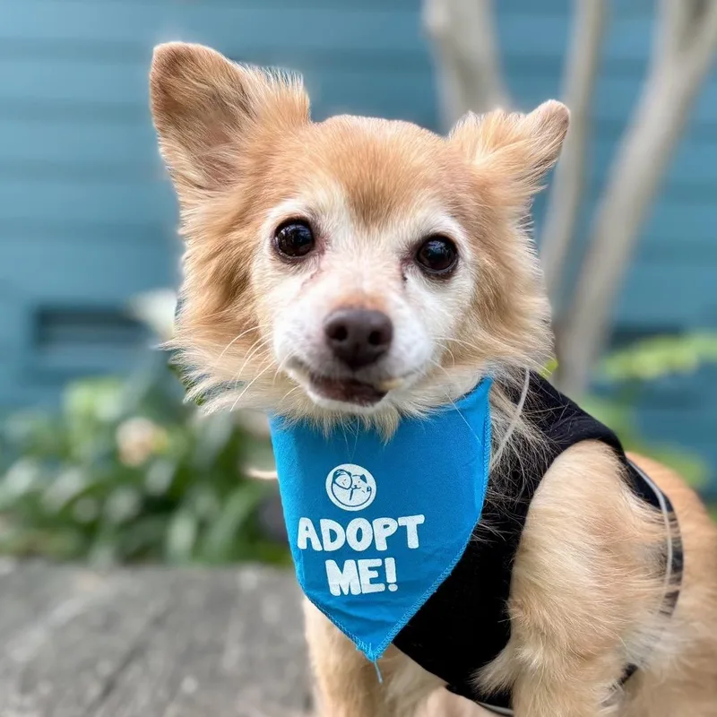 Sebastian thumbnail 5