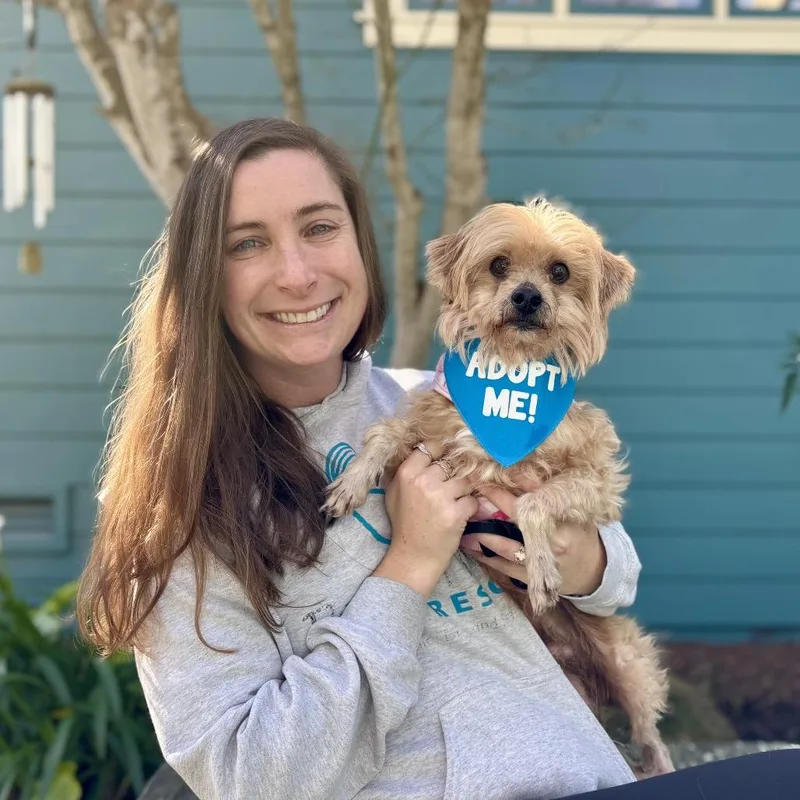 Sun Bear thumbnail 4