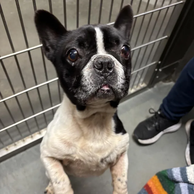 Free Willy thumbnail 2