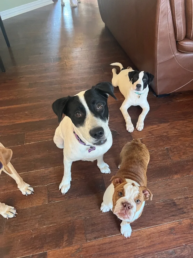 Molly Anne thumbnail 2