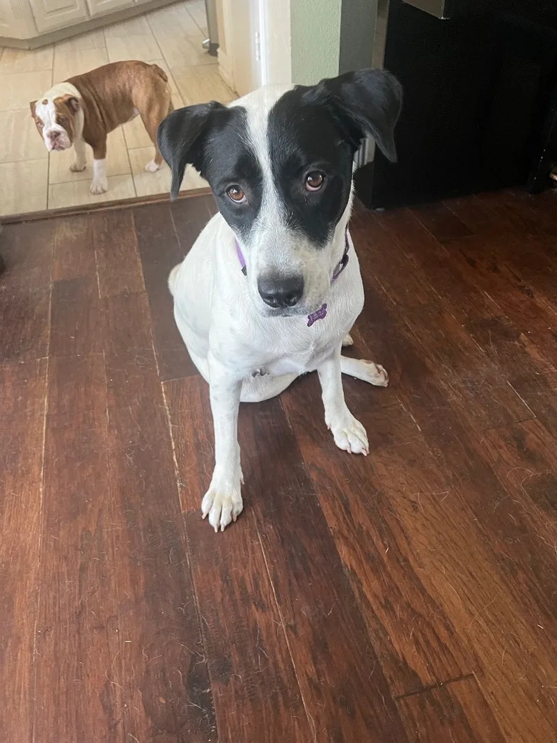 Molly Anne thumbnail 3