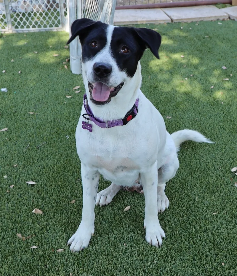 Molly Anne thumbnail 4