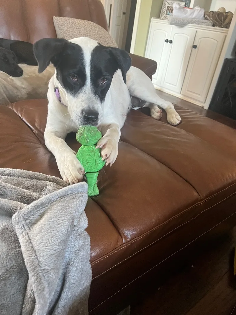 Molly Anne thumbnail 5