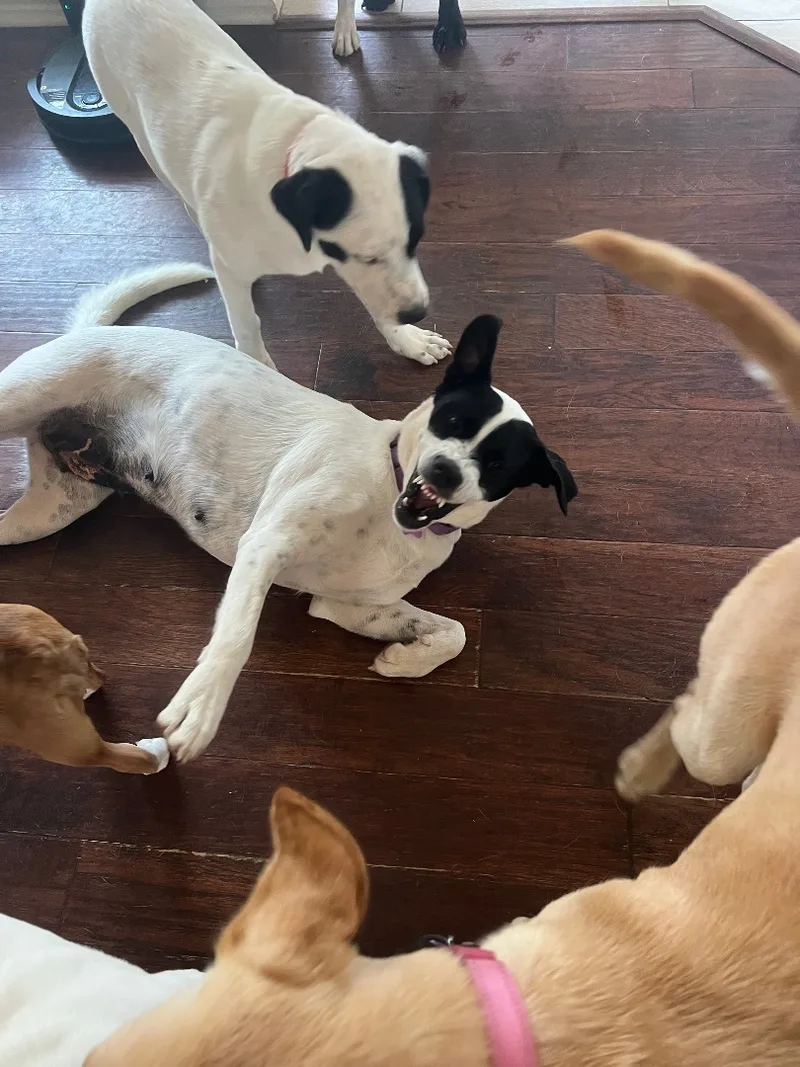 Molly Anne thumbnail 6